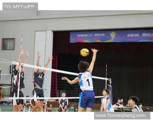 杭州排球队的力量解析与未来发展展望