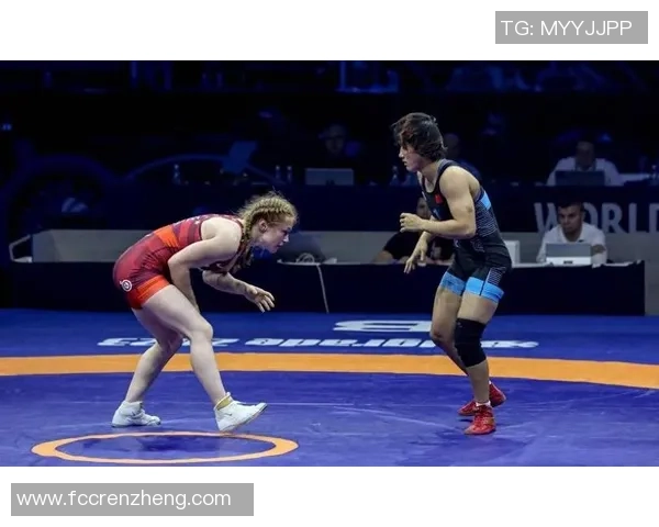 北京羽毛球队重塑辉煌之路的反击与创新探索